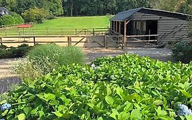 Bed&Breakfast De Paalberg